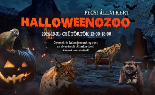 HalloweenoZOO a Pécsi Állatkertben