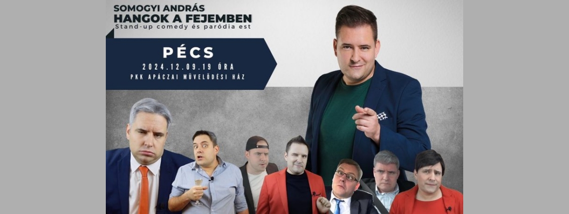 Somogyi András - Hangok a fejemben - Stand up