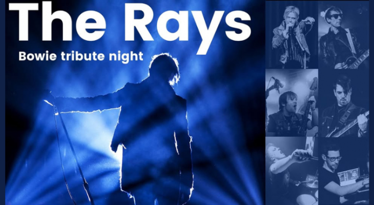 Bowie Night - The Rays