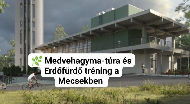 Medvehagyma-túra és Erdőfürdő program a Mecsekben