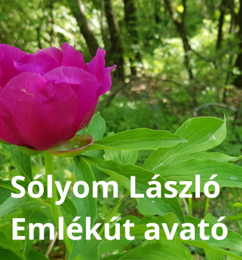 Sólyom László Emlékút avató