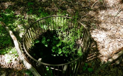 Chasing Caves and Sinkholes – From Misina TetőPont to Orfű