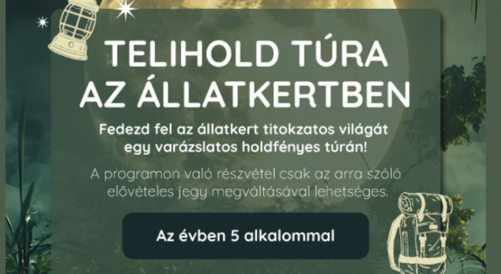 Telihold túra az Állatkertben