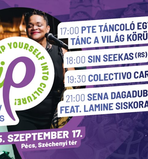 International Culture Day in Pécs (ICDiP),