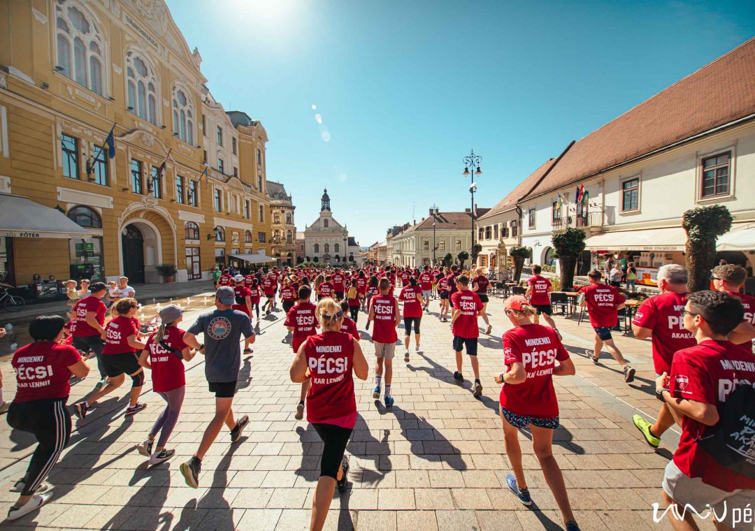 A PTE-vel fut Pécs az életért