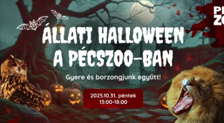 Állati Halloween a PécsZoo-ban