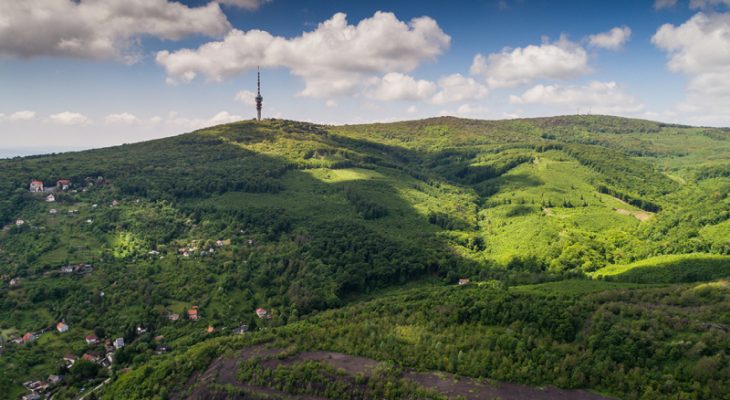 Camino helyett kezdje Pécsen - fedezze fel Baranya zarándokútjait!