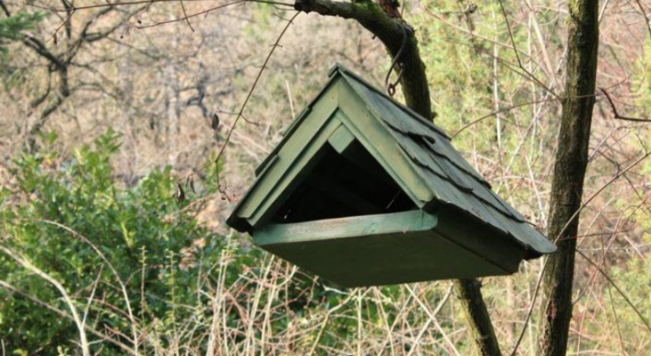Madarak védelme a ház körül - Téli madáretetés