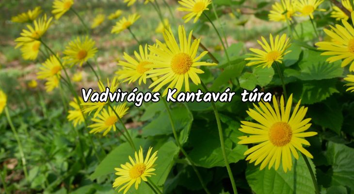 Vadvirágos Kantavár túra