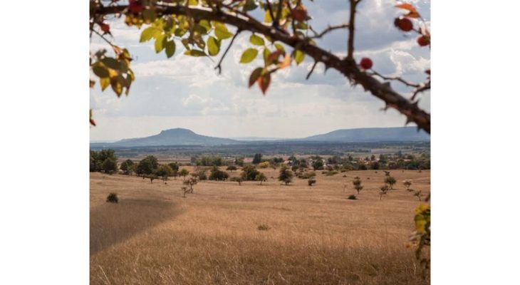 Pásztorélet, fáslegelők, madarak Baranyában