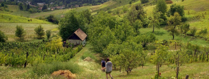 Baranyai-dombság