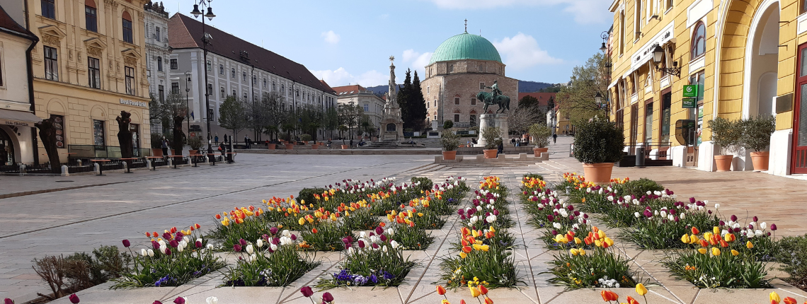 Pécs-Villány turisztikai térség fejlesztése és pozicionálása
