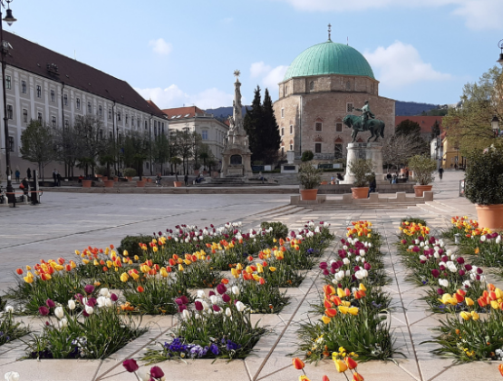 Kezdőlap | Városunk Pécs