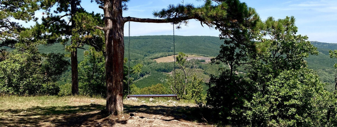 Flóra Rest